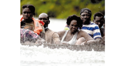 Migración irregular disminuyó en 94%