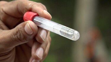 Minsa reporta 2 mil 859 casos de dengue en todo el país