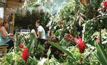 Costa Rica anuncia apertura total a los turistas de Estados Unidos