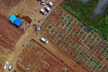 OMS: pandemia de la Covid-19 deja más de cuatro millones de muertos