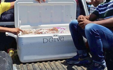 Decomisan cerca de 400 kilos de camarón en veda en todo el país