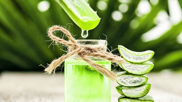 Los beneficios de la sábila