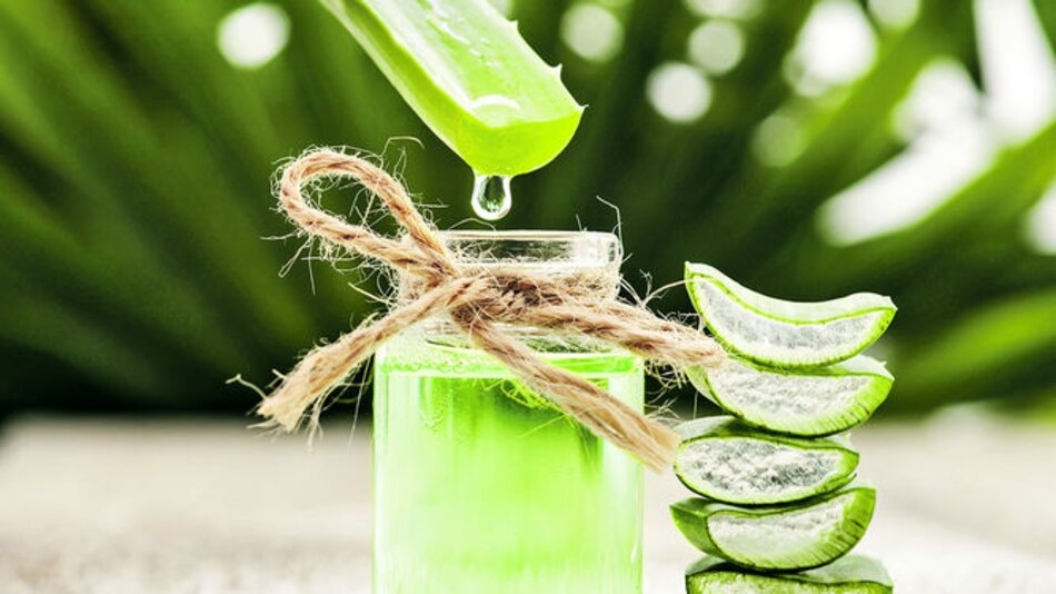 Los beneficios de la sábila