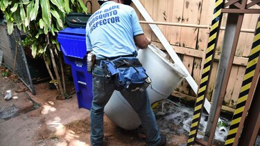 Estados de Estados Unidos en Golfo de México, más vulnerables al zika