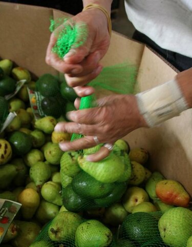 El Caribe importa más alimentos de los que produce, según historiador cubano