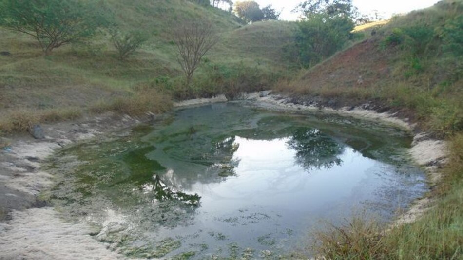 Bajan los niveles de agua para el sector agropecuario en Azuero