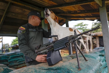 Oro en el Darién: el complejo sistema ilícito del Clan del Golfo que Panamá quiere romper
