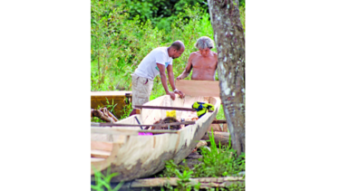 Vida que emerge del río