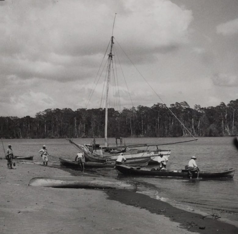 La serranía de Majé y la cruz de Vasco Núñez en Chimán