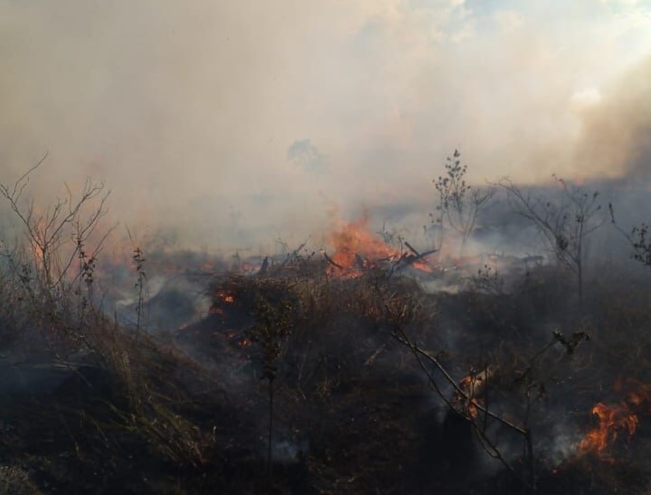 Incendio cerca del Parque Nacional Volcán Barú arrasa 10 hectáreas de herbazales