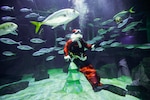 Papá Noel se da un chapuzón entre tiburones en Río de Janeiro