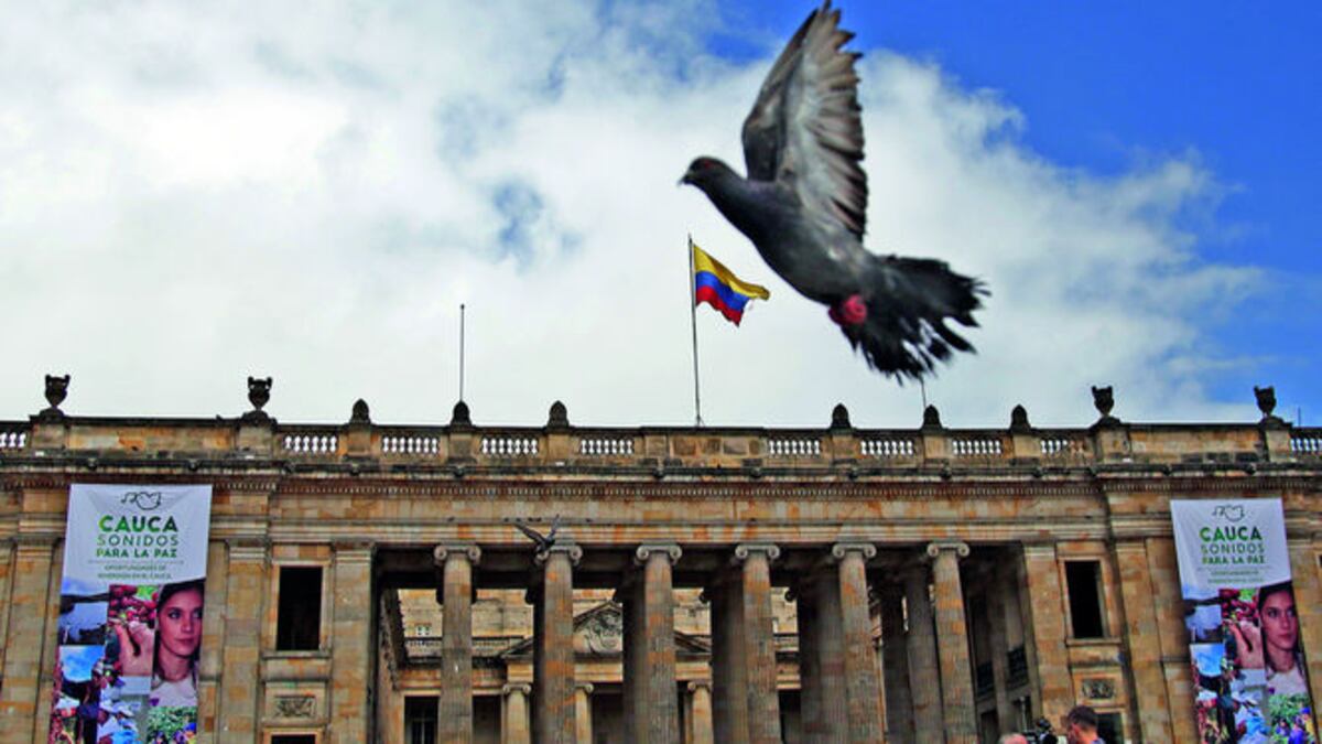 Frente a la sede del poder legislativo en Bogotá, una paloma mensajera se levanta mientras al fondo ondea la bandera de Colombia. Un símbolo de los tiempos.