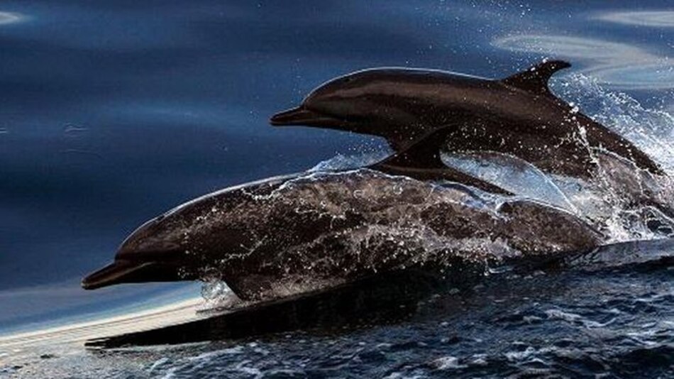 Septiembre, un mes para los océanos