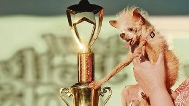 La perrita más fea