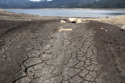 El Niño llega oficialmente a Colombia y amenaza con reducir lluvias hasta mediados de 2027