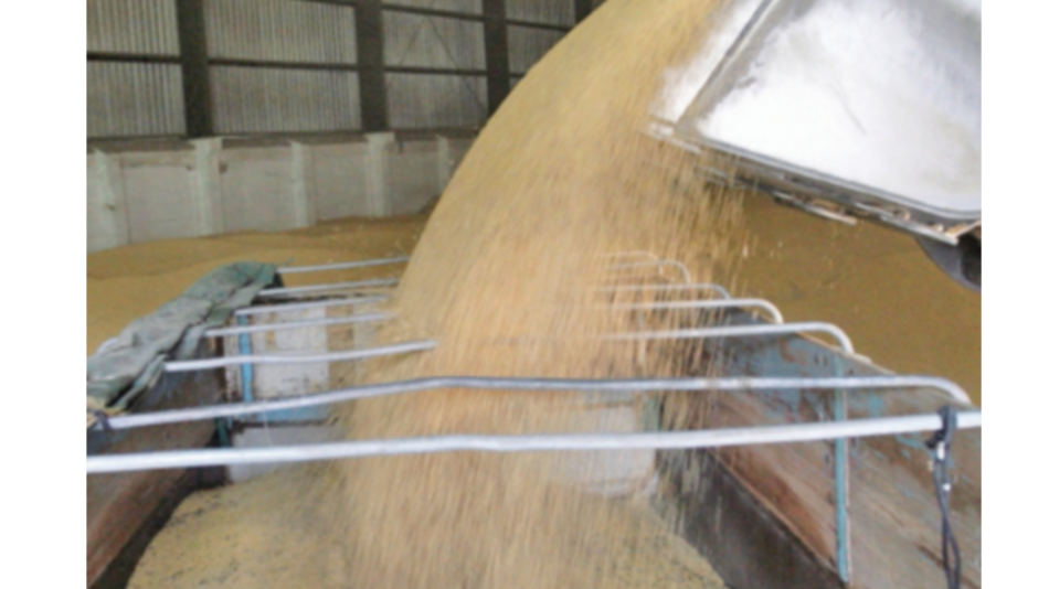 Inversores chinos aceleran compra de harina de soja