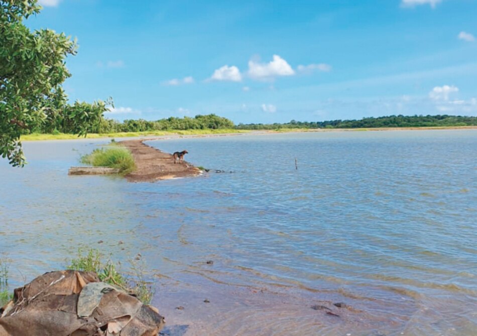 Lluvias barrieron con estanques de camarón