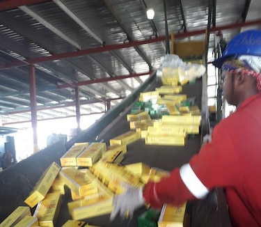 Aduanas destruye cargamento millonario de cigarrillos en Colón