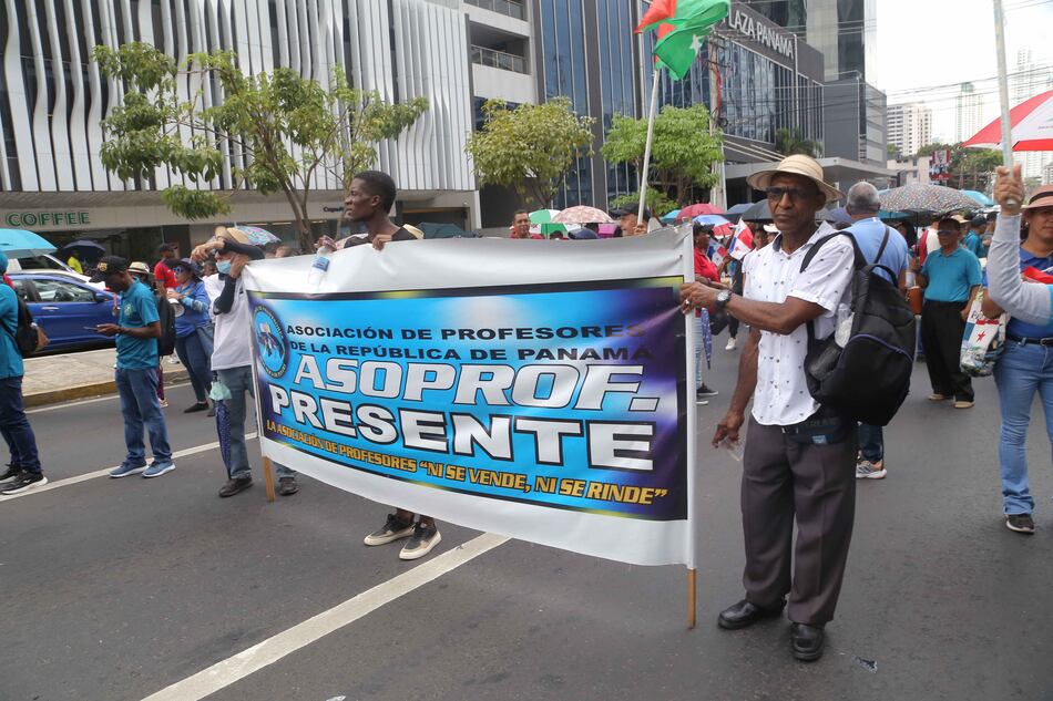 $14 millones en 5 años: fondos para formación docente serán auditados por posible mal uso