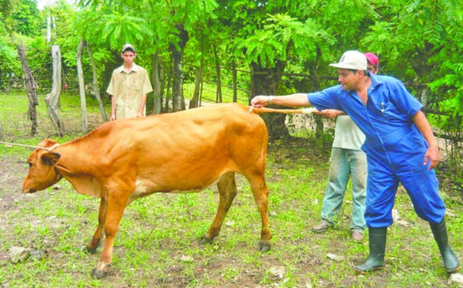 Veterinarios amenazan con paro luego de que presidente Varela vetara proyecto de ley 574