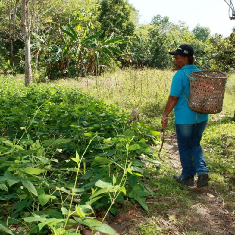 Pocas lluvias y altas temperaturas, preámbulo a un posible fenómeno de El Niño