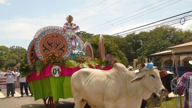 La Pintada celebra por partida doble: su fundación y el sombrero pintao