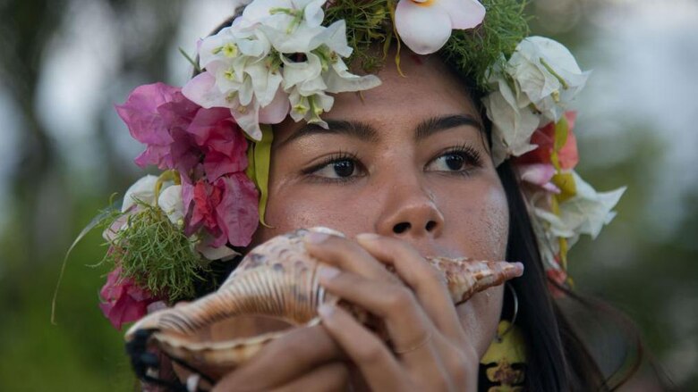 El inesperado papel que pueden jugar los caracoles marinos para tratar los ronquidos y la apnea del sueño