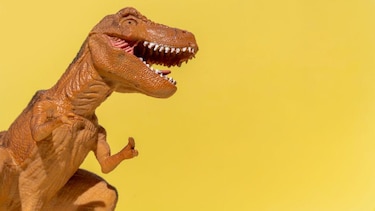 Qué extrañas pistas de nuestra civilización hallará quien explore la Tierra cuando ya no existamos