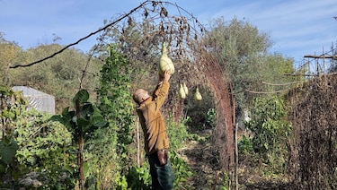 ‘Neorrurales’: los jóvenes españoles que han abandonado las grandes ciudades para asentarse en el campo escapando de los altos precios de la vivienda