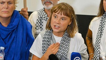 ‘Es una vergüenza que esta misión tenga que existir’: Greta Thunberg y otros 170 activistas de la flotilla que llevaba ayuda humanitaria a Gaza son deportados por Israel