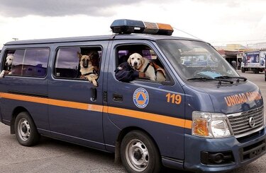 Operativo de Carnaval comienza mañana en todo el país