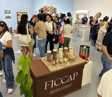 Promueven la producción de chocolate panameño