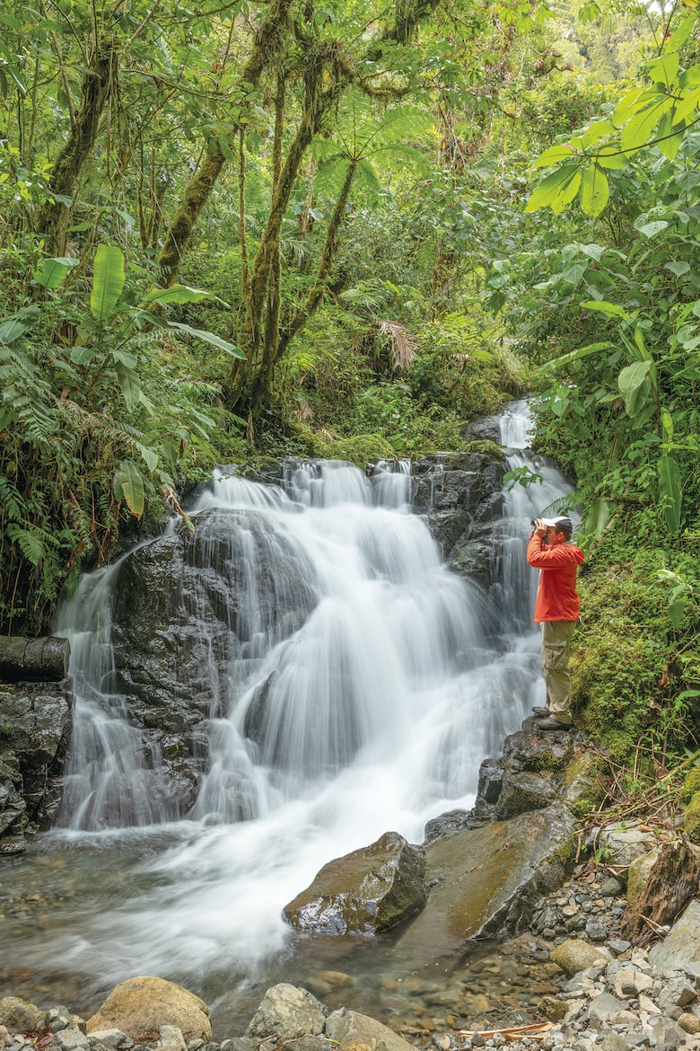 Todo Chiriquí en un libro