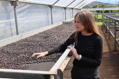 El ‘café más caro del mundo’ en Panamá busca mantener el liderazgo pese al reto climático