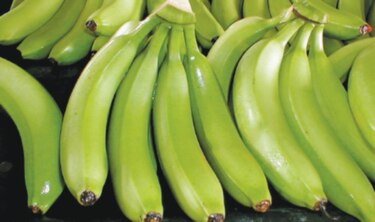 Pérdidas millonarias deja huelga bananera en Bocas del Toro