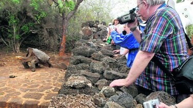 Triste herencia del hombre