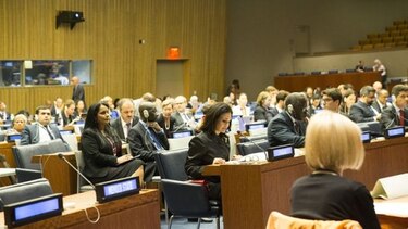 Vicepresidenta explica ante panel de Naciones Unidas la 'operación controlada' de migrantes