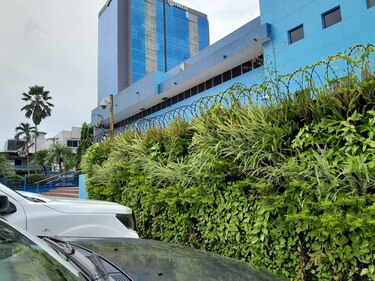 El Idaan gestionó contrato por casi $100,000 para jardinería con empresa vinculada a Abraham Rico Pineda