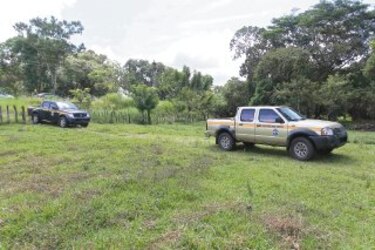 Mafias, el brazo ejecutor de clonadores de títulos