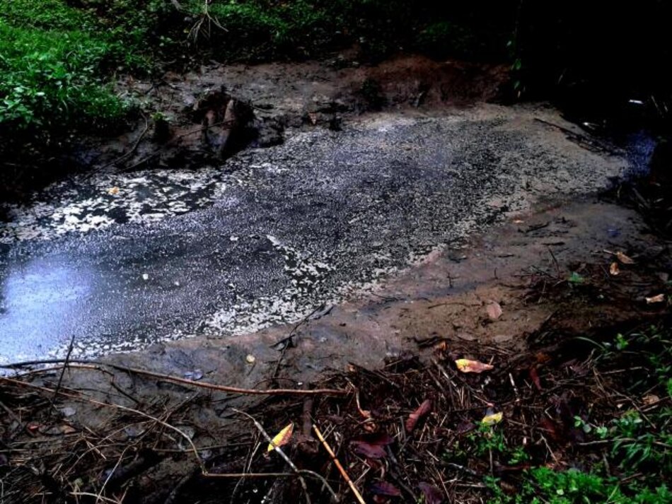 Denuncian contaminación en el río La Villa