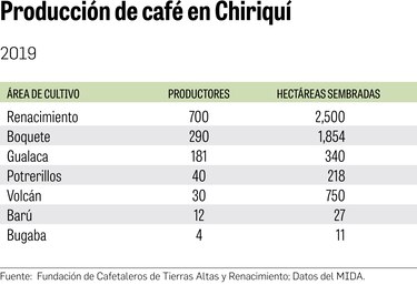 Mano de obra, un reto para producir y cosechar café