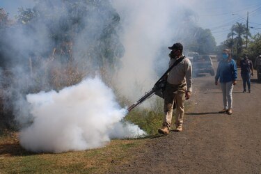 El peligro del dengue se cierne cada vez más sobre Panamá