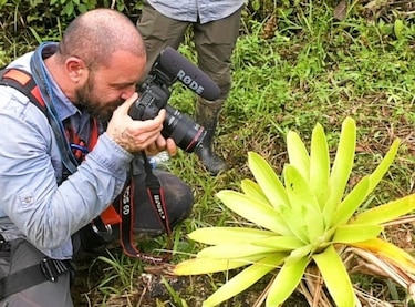 Un biólogo español filma y documenta la rana misteriosa de Panamá