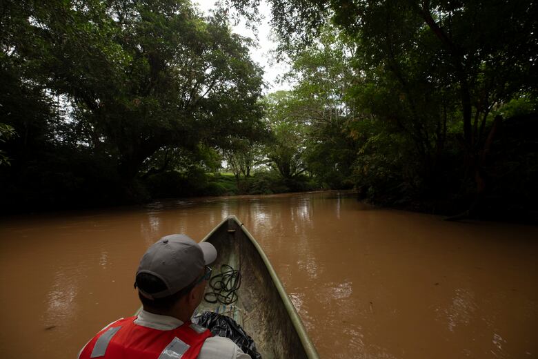¿Cuánto cuesta un palo de mango? El relato de un pueblo que se niega a desaparecer
