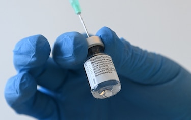 Pfizer confirma que vacunas anticovid que se vendían en México y Polonia eran falsas