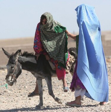 FAO: Las guerras son las principales creadoras del hambre y la desnutrición