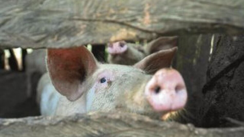 Capacitación y producción orgánica contra la pobreza