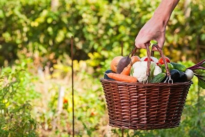 Alimentos orgánicos, de vuelta a los orígenes