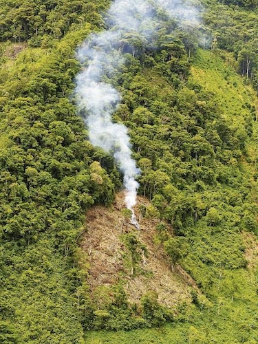 La deforestación en la Amazonía brasileña cayó a su menor nivel desde 1988