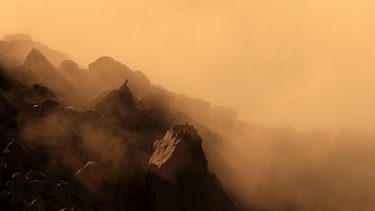 La historia de la foto ‘perfecta’ que tomó una década capturar y otras imágenes ganadoras del premio Fotógrafo de la Vida Silvestre 2025